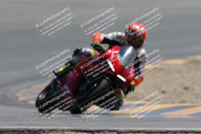 media/Apr-09-2023-SoCal Trackdays (Sun) [[333f347954]]/Turn 10 (115pm)/